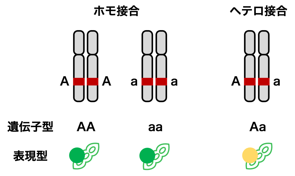 生物多様性とは - 地球の生物多様性の現状